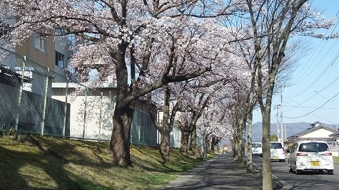 DSCF0769.jpg