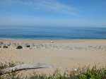 DSCF0776.jpg