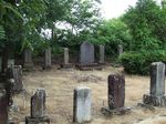 DSCF0780.jpg