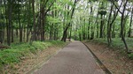 DSCF0785.jpg