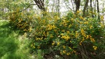 DSCF0786.jpg
