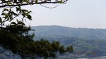 DSCF0789.jpg