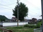 DSCF0790.jpg