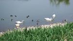 DSCF0795.jpg