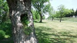 DSCF0796.jpg