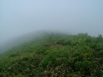 kuriko-ryousenn