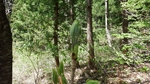 DSCF0820.jpg