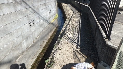 DSCF0823.jpg