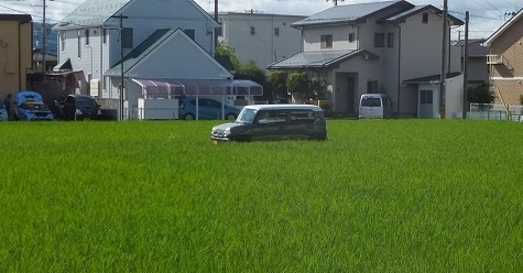 DSCF0838.jpg