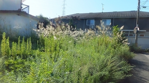 DSCF0849.jpg