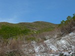 DSCF0849.jpg