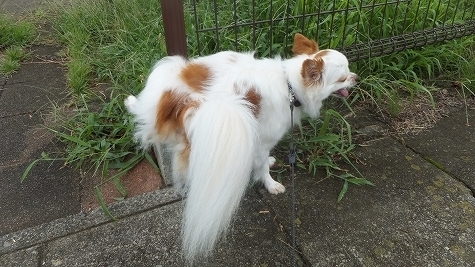 DSCF0856.jpg