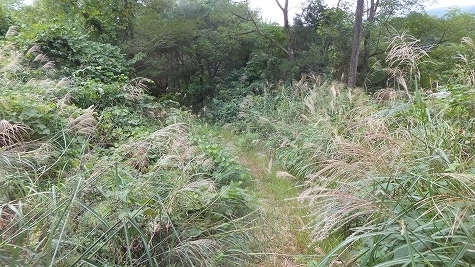 DSCF0861.jpg