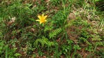 DSCF0861.jpg
