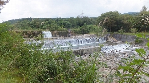 DSCF0864.jpg
