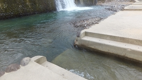 DSCF0866.jpg