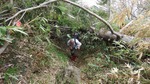 DSCF0885.jpg