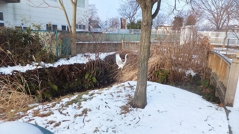 DSCF0920.jpg