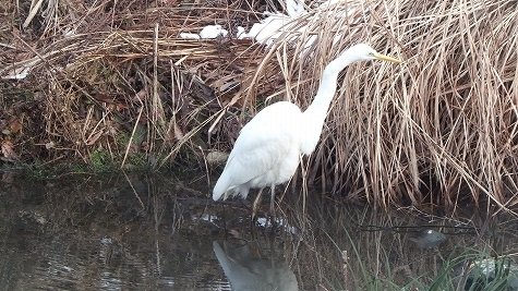 DSCF0925.jpg
