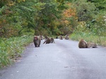 DSCF0972.jpg