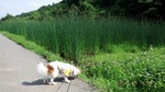 DSCF1011.jpg