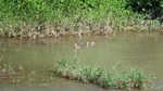 DSCF1021.jpg