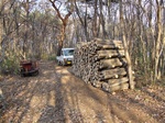 DSCF1048.jpg