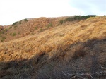 DSCF1053.jpg