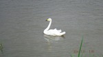 DSCF1072.jpg