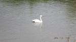 DSCF1076.jpg