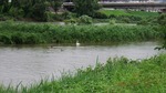DSCF1080.jpg