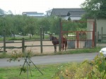 DSCF1095.jpg