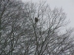 DSCF1163.jpg