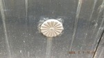 DSCF1165.jpg
