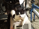 DSCF1228.jpg