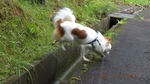 DSCF1240.jpg