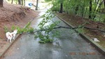 DSCF1243.jpg