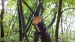 DSCF1244.jpg