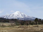 DSCF1251.jpg