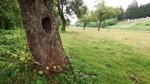 DSCF1264.jpg