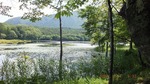 DSCF1264.jpg