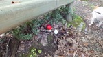 DSCF1268.jpg