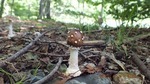 DSCF1271.jpg