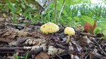 DSCF1275.jpg