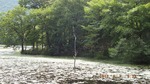 DSCF1276.jpg