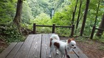 DSCF1287.jpg