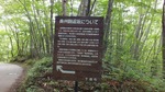 DSCF1290.jpg