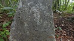 DSCF1292.jpg