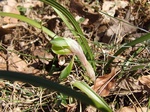 DSCF1292.jpg