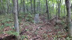 DSCF1294.jpg
